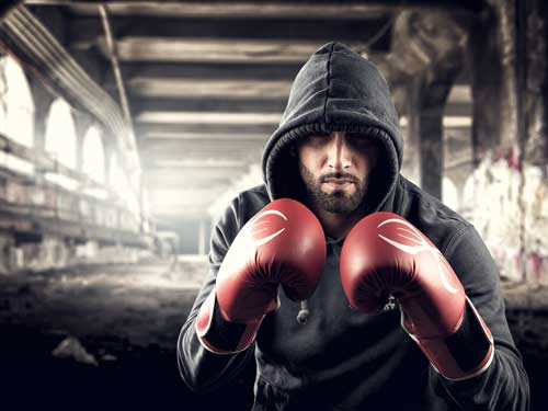 Bild eines Boxers